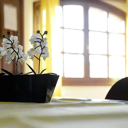 Apartamentos Bellavista Alquézar Kamer foto